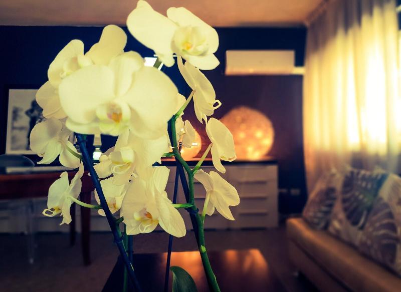 Hotel Caraibi Milano Marittima Exteriér fotografie